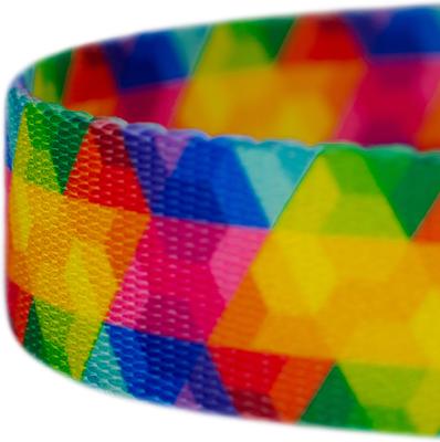 Show full view: Country Brook Petz Kaleidoscope Dog Leash, Large: 4-ft long, 1-in wide slide 4 of 4