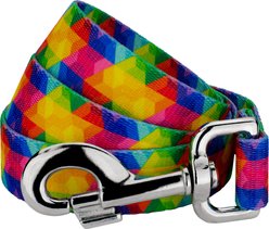 Country Brook Petz Kaleidoscope Dog Leash, Large: 4-ft long, 1-in wide