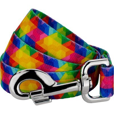Country Brook Petz Country Brook Petz Kaleidoscope Dog Leash, Medium: 6-ft long, 5/8-in wide