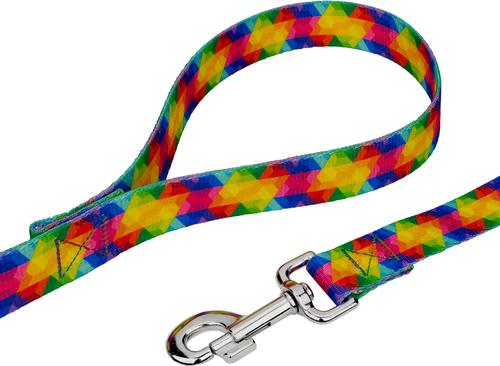 Show full view: Country Brook Petz Kaleidoscope Dog Leash, Large: 4-ft long, 1-in wide slide 3 of 4