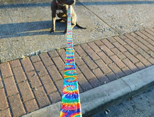 Show full view: Country Brook Petz Classic Tie Dye Dog Leash, Large: 6-ft long, 1-in wide slide 3 of 6
