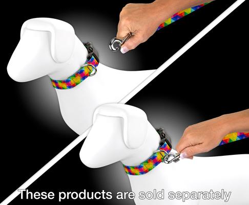 Show full view: Country Brook Petz Kaleidoscope Dog Leash, Large: 4-ft long, 1-in wide slide 2 of 4