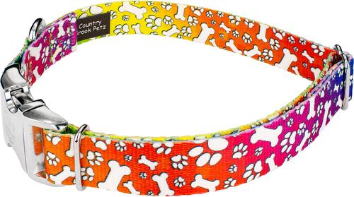 Show full view: Country Brook Petz Premium Trippy Doggo Dog Collar, Large: 16 to 22-in neck, 1-in wide slide 5 of 7