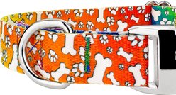 Country Brook Petz Premium Trippy Doggo Dog Collar, Large: 16 to 22-in neck, 1-in wide slide 2 of 7