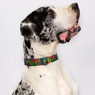 Show full view: Country Brook Petz Premium Tie Dye Stripes Dog Collar, Small: 11 to 13-in neck, 5/8-in wide slide 3 of 8