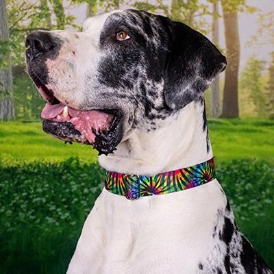 Show full view: Country Brook Petz Premium Tie Dye Stripes Dog Collar, Small: 11 to 13-in neck, 5/8-in wide slide 4 of 8