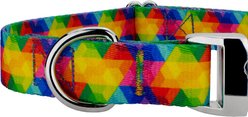 Country Brook Petz Premium Kaleidoscope Dog Collar, Large: 16 to 22-in neck, 1-in wide slide 2 of 5
