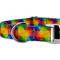 Show in main carousel: Country Brook Petz Premium Kaleidoscope Dog Collar, Medium: 13 to 16-in neck, 1-in wide slide 6 of 6