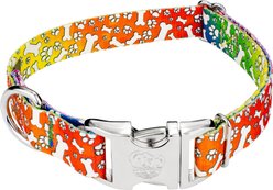 Country Brook Petz Premium Trippy Doggo Dog Collar, Large: 16 to 22-in neck, 1-in wide