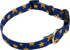 Country Brook Design Deluxe Duty Honor Country Dog Collar, Medium: 13 to 16-in neck, 1-in wide slide 2 of 7