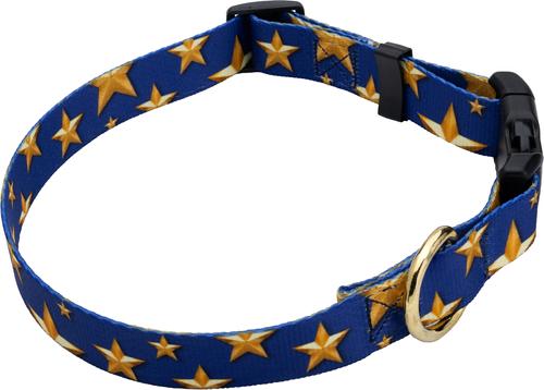 Show full view: Country Brook Design Deluxe Duty Honor Country Dog Collar, Large: 16 to 22-in neck, 1-in wide slide 6 of 7