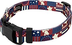 Country Brook Design Deluxe Spirit of '76 Dog Collar, Small: 11 to 13-in neck, 5/8-in wide slide 2 of 7