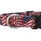 Show in main carousel: Country Brook Design Patriotic Tribute Deluxe Dog Collar, Small: 11 to 13-in neck, 5/8-in wide slide 5 of 6