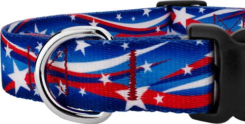 Show full view: Country Brook Design Deluxe Star Spangled Dog Collar, Large: 16 to 22-in neck, 1-in wide slide 6 of 7