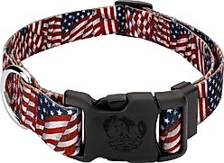 Country Brook Design Patriotic Tribute Deluxe Dog Collar, Large: 16 to 22-in neck, 1-in wide