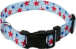 Country Brook Design Deluxe American Celebration Dog Collar, Small: 11 to 13-in neck, 5/8-in wide