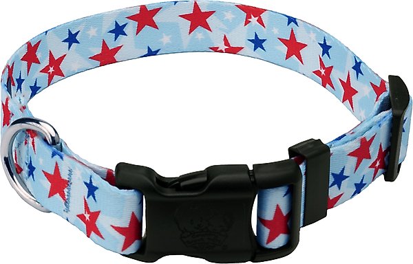 Show full view: Country Brook Design Deluxe American Celebration Dog Collar, Small: 11 to 13-in neck, 5/8-in wide slide 1 of 5
