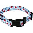 Show in main carousel: Country Brook Design Deluxe American Celebration Dog Collar, Small: 11 to 13-in neck, 5/8-in wide slide 1 of 5