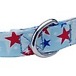 Show in main carousel: Country Brook Design Deluxe American Celebration Dog Collar, Small: 11 to 13-in neck, 5/8-in wide slide 5 of 5