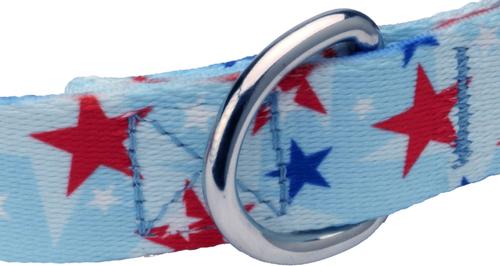 Show full view: Country Brook Design Deluxe American Celebration Dog Collar, Medium: 13 to 16-in neck, 1-in wide slide 6 of 6