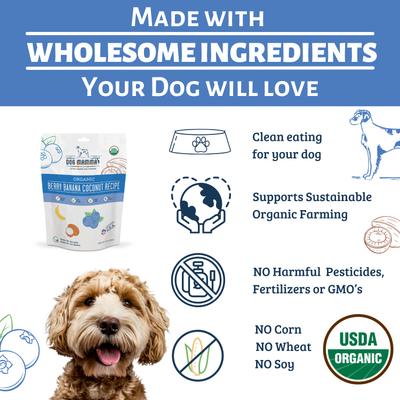 Show full view: Dog Mamma's Organic Berry Banana Coconut Dog Treats, 6-oz bag slide 6 of 9