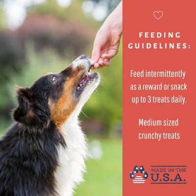 Show full view: Dog Mamma's Organic Apple Cranberry Dog Treats, 6-oz bag slide 9 of 10