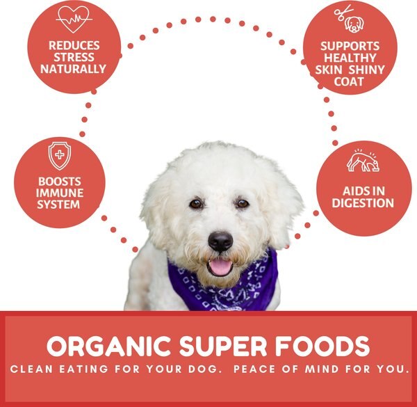 Dog Mamma's Organic Apple Cranberry Dog Treats