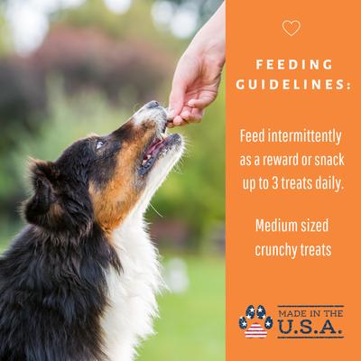 Show full view: Dog Mamma's Organic Pumpkin Snaps Dog Treats, 6-oz bag slide 9 of 9