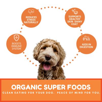 Show full view: Dog Mamma's Organic Pumpkin Snaps Dog Treats, 6-oz bag slide 4 of 9