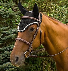 Equine Couture Horse Fly Bonnet with Pearls & Crystals, Black, Pony