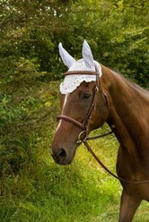 Equine Couture Floral Horse Fly Bonnet, White, Cob