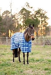 TuffRider Shoulder Lining Horse Fly Shield Sheet, Sky Blue, 78-in