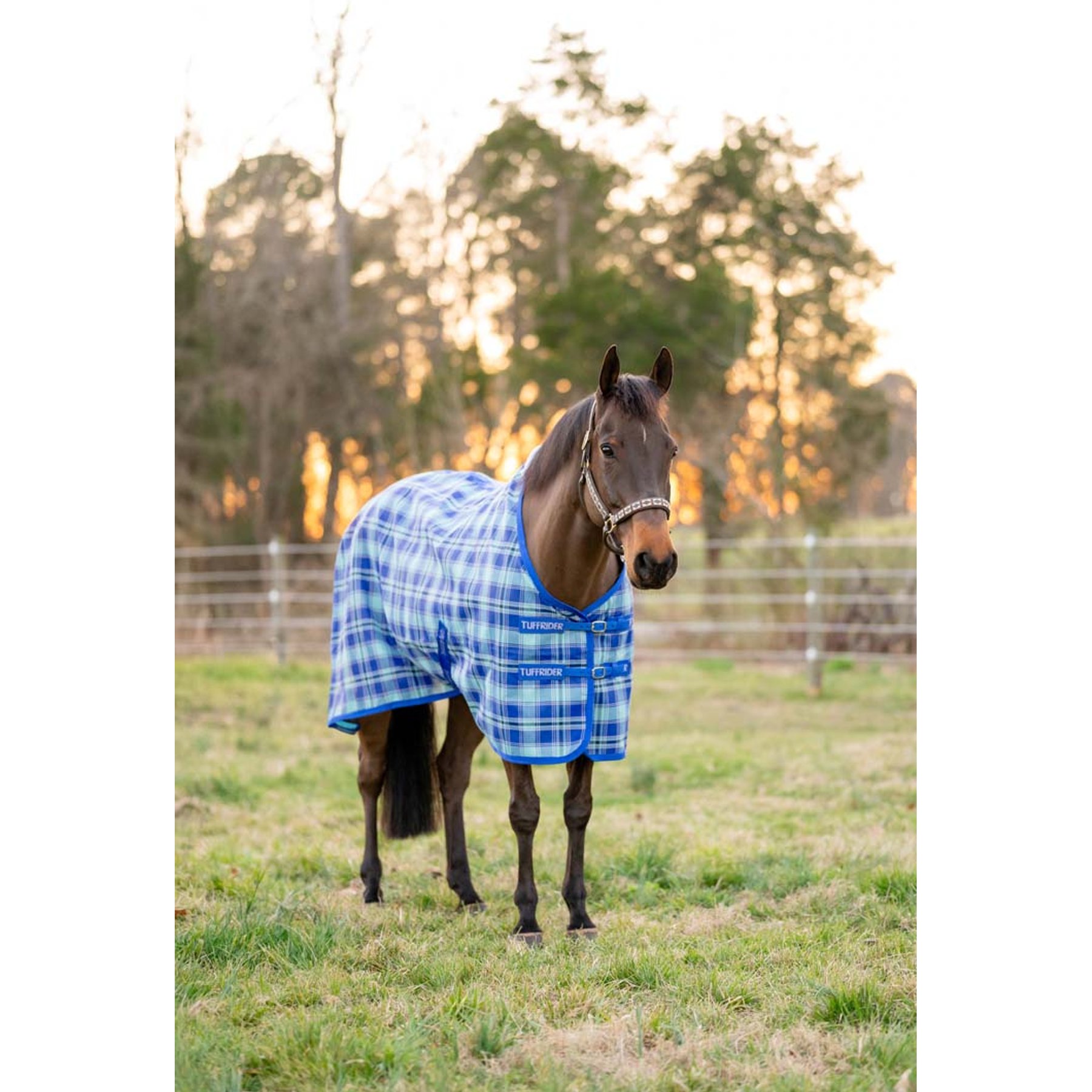 TuffRider Shoulder Lining Horse Fly Shield Sheet, Sky Blue, 69-in