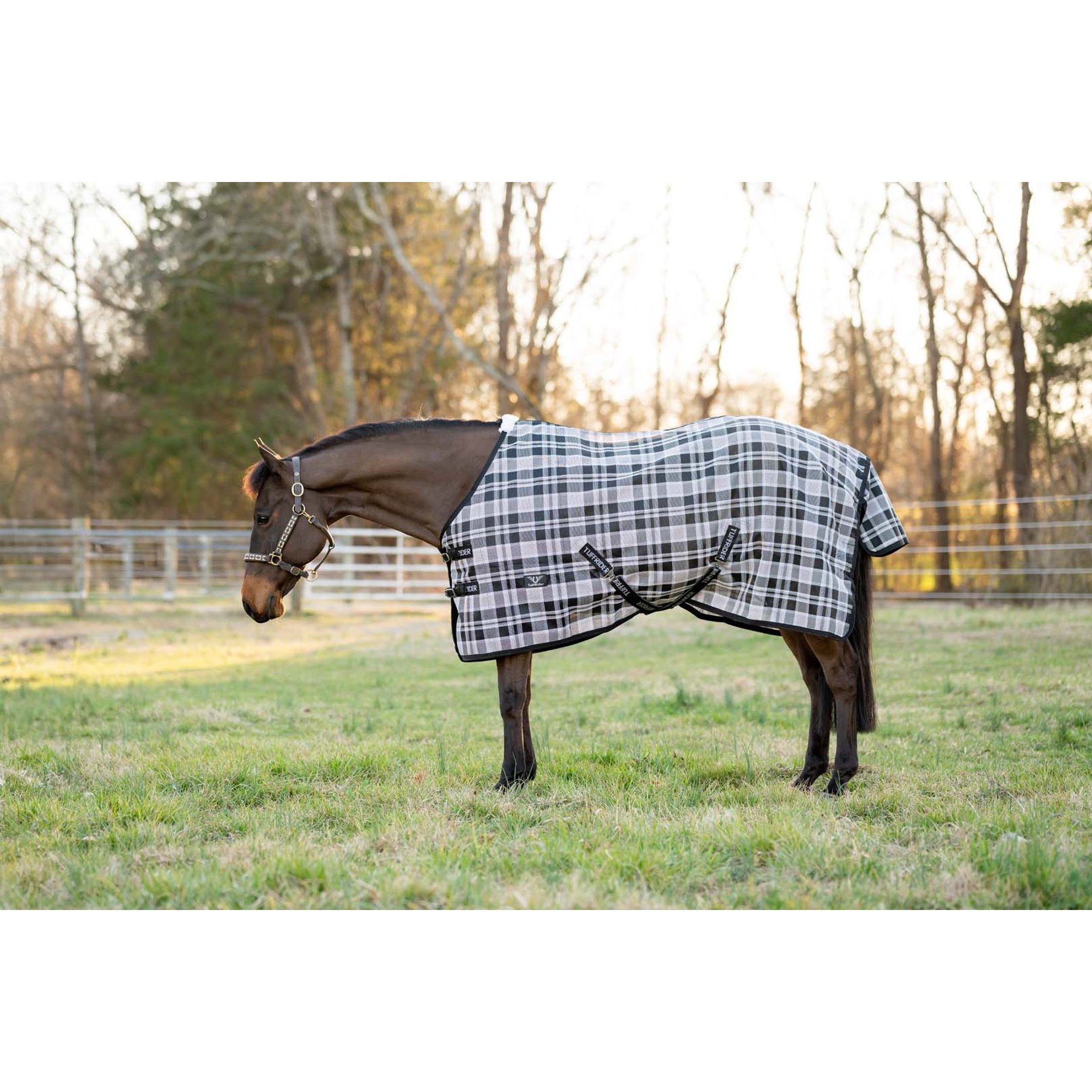 TuffRider Shoulder Lining Horse Fly Shield Sheet, Black/Grey, 78-in