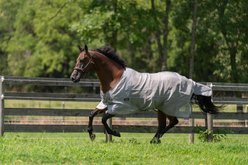 TuffRider NevaTear Technical Standard Neck Horse Fly Sheet, Silver, 69-in