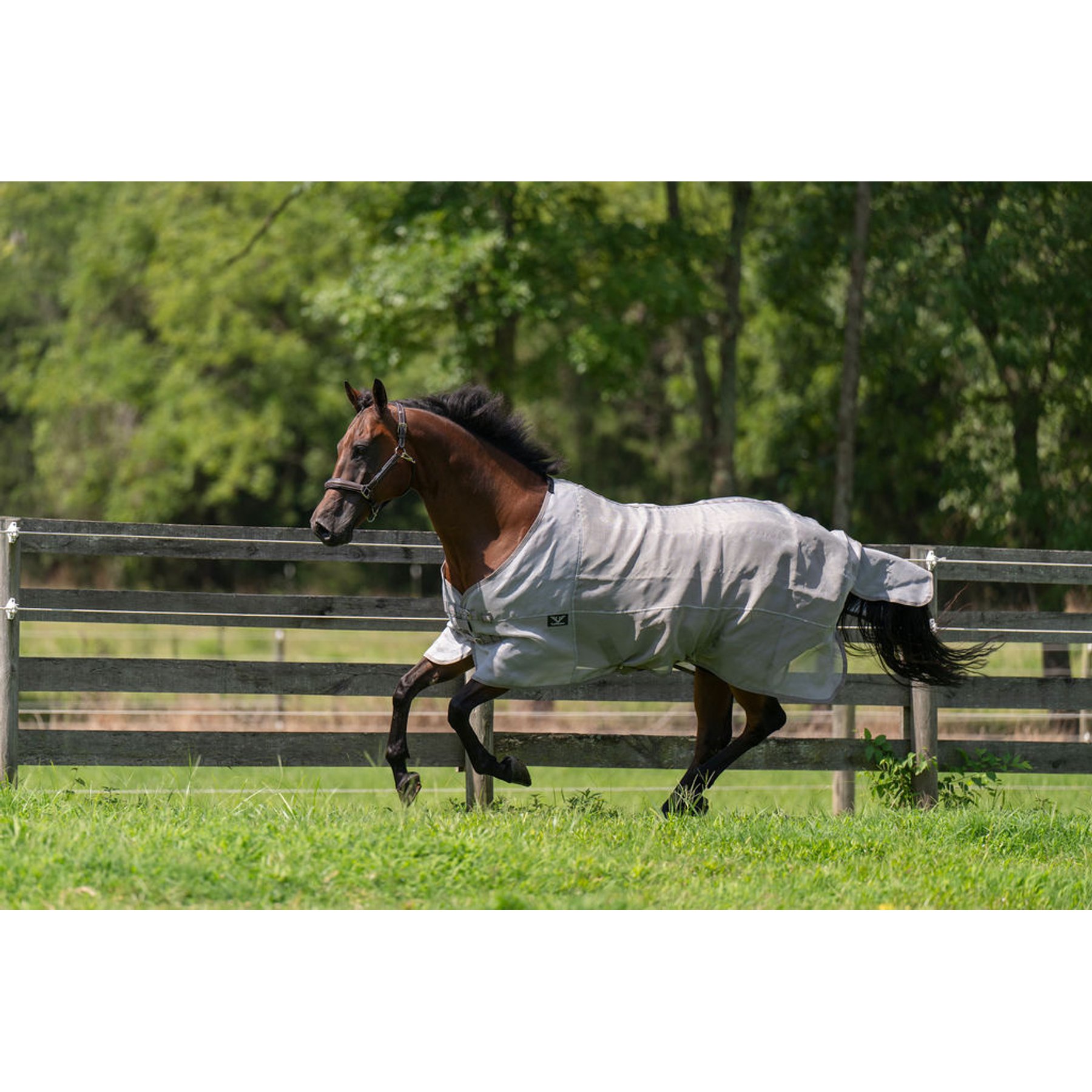 TuffRider NevaTear Technical Standard Neck Horse Fly Sheet, Silver, 75-in