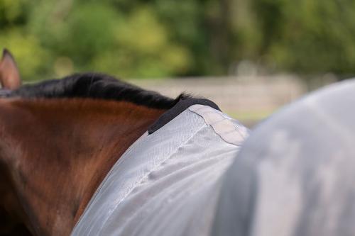 Show full view: TuffRider NevaTear Technical Standard Neck Horse Fly Sheet, Silver, 69-in slide 6 of 6