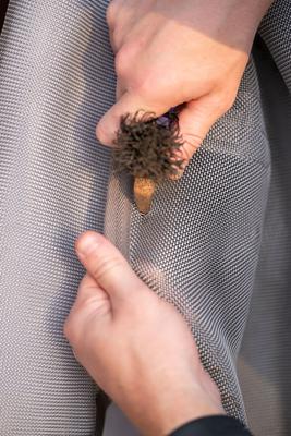 Show full view: TuffRider NevaTear Technical Combo Neck Horse Fly Sheet, Silver, 72-in slide 2 of 5