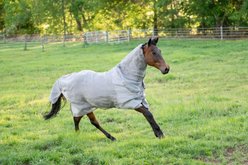 TuffRider NevaTear Technical Combo Neck Horse Fly Sheet, Silver, 72-in