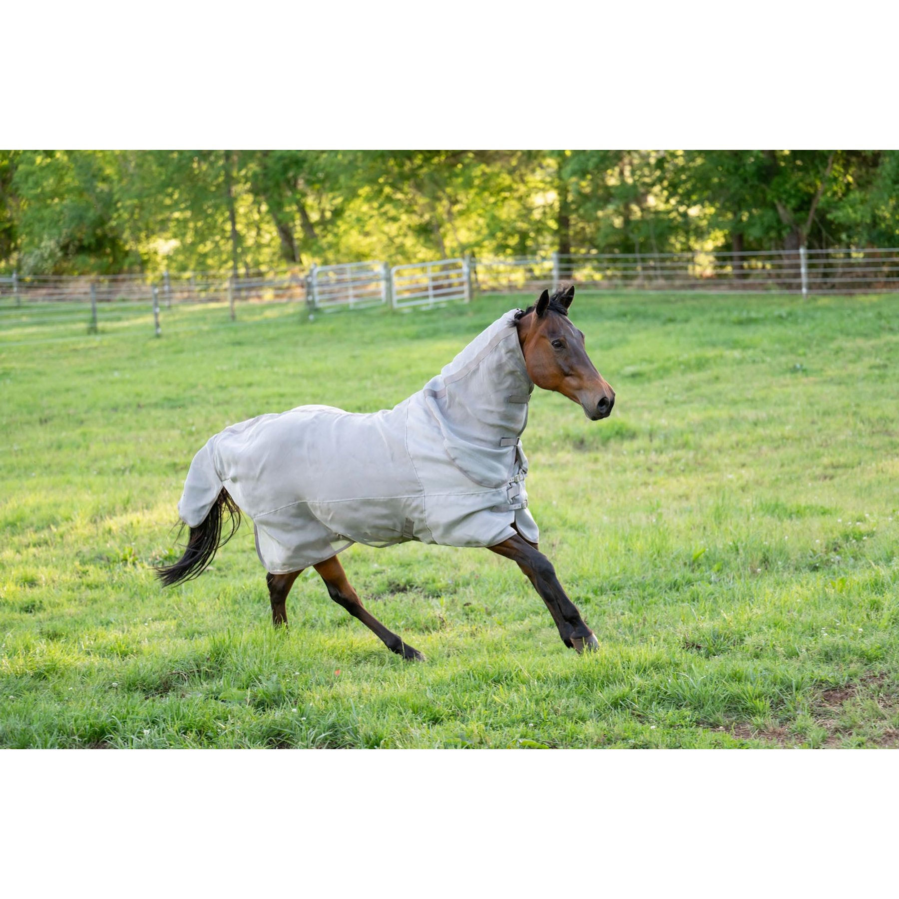 TuffRider NevaTear Technical Combo Neck Horse Fly Sheet, Silver, 84-in