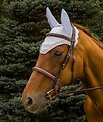 Equine Couture Horse Fly Bonnet with Pearls & Crystals, White, Pony