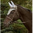 Equine Couture Rainbow Horse Fly Bonnet with Crystals, Multicolor