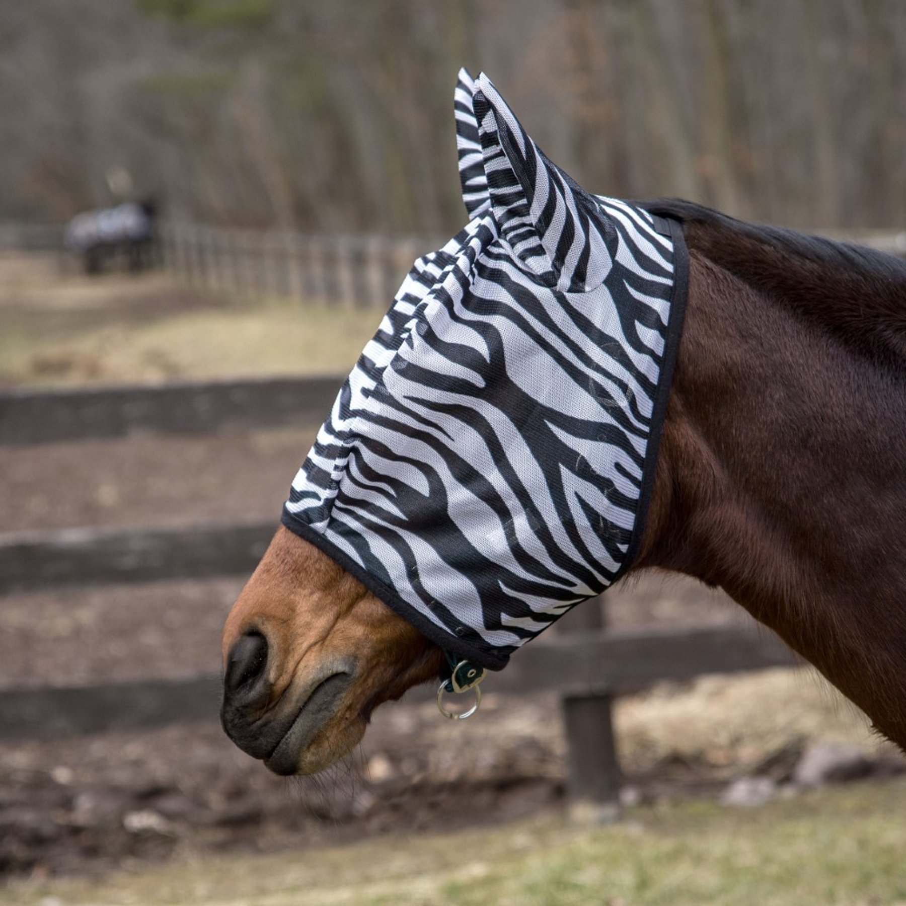 TuffRider Comfy Plus Horse Fly Mask, Zebra, Horse