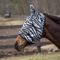 Show in main carousel: TuffRider Comfy Plus Horse Fly Mask, Zebra, Horse slide 1 of 1