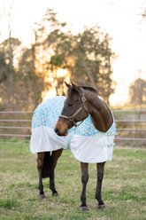TuffRider Comfy Plus Horse Fly Sheet, Daisy, 78-in