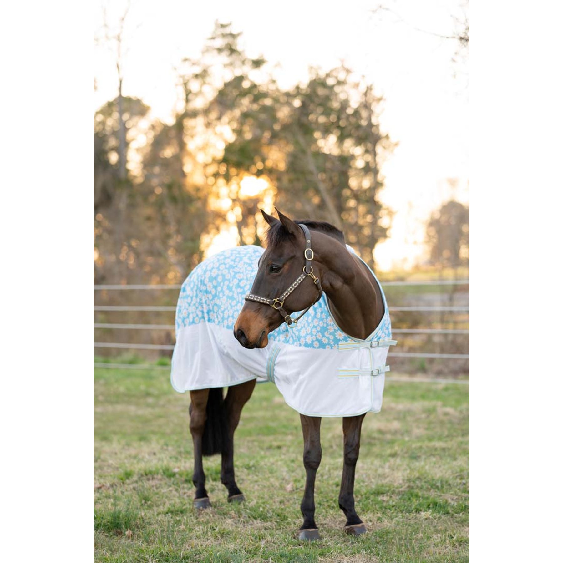 TuffRider Comfy Plus Horse Fly Sheet, Daisy, 78-in