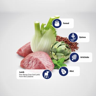 Show full view: Farmina N&D Quinoa Feline Lamb, Fennel & Mint Digestion Dry Cat Food, 8.8-lb bag slide 7 of 10