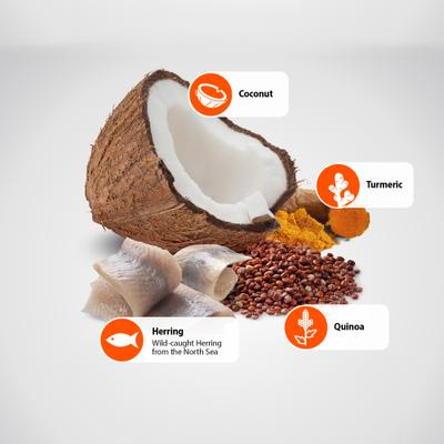 Show full view: Farmina N&D Quinoa Adult Mini Skin & Coat Herring, Coconut & Turmeric Dry Dog Food, 11-lb bag slide 7 of 10