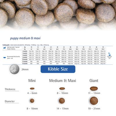 Show full view: Farmina N&D Pumpkin Canine Puppy Lamb & Blueberry Dry Dog Food, 22-lb bag slide 8 of 10