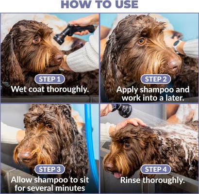 Show full view: We Love Doodles Puppy Shampoo, Lavender Scent, 8-fl oz bottle slide 7 of 8
